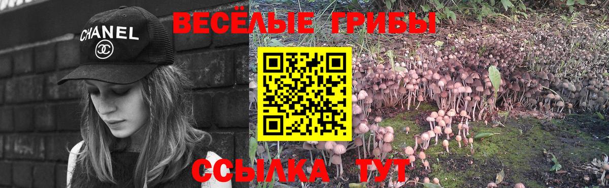 Псилоцибиновые грибы Psilocybine cubensis  Галлюциногенные грибы GOLDEN TEACHER  Ачинск  Вход с VPN 